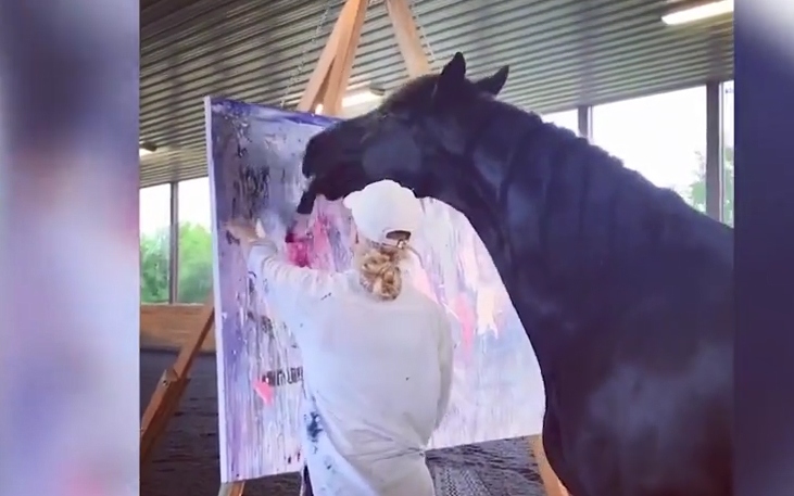 Tận mắt chứng kiến chú ngựa tài năng vẽ những bức tranh bán được hàng trăm bảng Anh